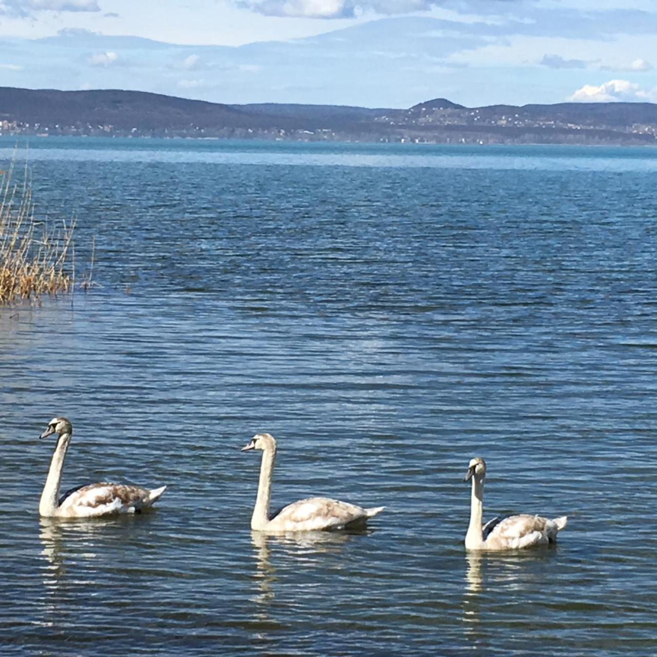 Beach Resident Hotel Balatonszemes Luaran gambar